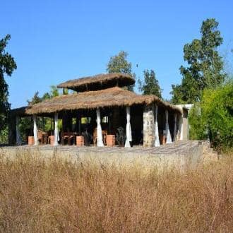 A Unique Owner-run Lodge For Wildlife Lovers, Bandhavgarh 5
